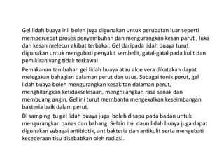 Gel lidah buaya ini boleh juga digunakan untuk perubatan luar seperti
mempercepat proses penyembuhan dan mengurangkan kesa...