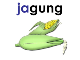 ja gung 