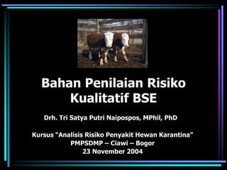 Bahan Penilaian Risiko
Kualitatif BSE
Kursus “Analisis Risiko Penyakit Hewan Karantina”
PMPSDMP – Ciawi – Bogor
23 November 2004
Drh. Tri Satya Putri Naipospos, MPhil, PhD
 