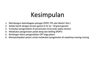 Kesimpulan
1. Membangun kelembagaan petugas (POPT, PPL dan Mantri Tani )
2. Seleksi benih dengan larutan garam (1 ltr air : 50 gram garam)
3. Tuntaskan pengendalian di persemaian (menunda waktu tanam)
4. Melakukan pengamatan petak tetap dan keliling (POPT)
5. Bimbingan teknis pengendalian OPT bagi petani
6. Memperdayakan petani untuk melakukan pengamatan di sawahnya masing-masing
 