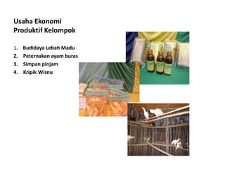 Usaha Ekonomi
Produktif Kelompok
1. Budidaya Lebah Madu
2. Peternakan ayam buras
3. Simpan pinjam
4. Kripik Wisnu
 