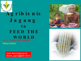 Agribisnis Jagung   to FEED THE WORLD Dr. Ir. FADEL MUHAMMAD Ketua Umum .www.dewanjagung.org [email_address] 