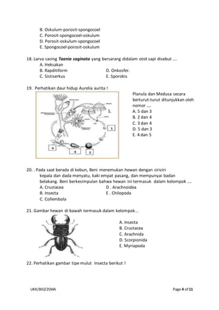 UKK/BIO/2SMA Page 4 of 11
B. Oskulum-porosit-spongocoel
C. Porosit-spongocoel-oskulum
D. Porosit-oskulum-spongocoel
E. Spongocoel-porosit-oskulum
18. Larva cacing Taenia saginata yang bersarang didalam otot sapi disebut ….
A. Heksakan
B. Rapditiform D. Onkosfer.
C. Sistiserkus E. Sporokis
19. Perhatikan daur hidup Aurelia aurita !
Planula dan Medusa secara
berturut-turut ditunjukkan oleh
nomor ....
5. A. 5 dan 3
B. 2 dan 4
C. 3 dan 4
D. 5 dan 3
E. 4 dan 5
20. . Pada saat berada di kebun, Beni menemukan hewan dengan ciriciri
kepala dan dada menyatu, kaki empat pasang, dan mempunyai badan
belakang. Beni berkesimpulan bahwa hewan ini termasuk dalam kelompok ....
A. Crustacea D . Arachnoidea
B. Insecta E . Chilopoda
C. Collembola
21. Gambar hewan di bawah termasuk dalam kelompok...
A. Insecta
B. Crustacea
C. Arachnida
D. Scorpionida
E. Myriapoda
22. Perhatikan gambar tipe mulut Insecta berikut !
 