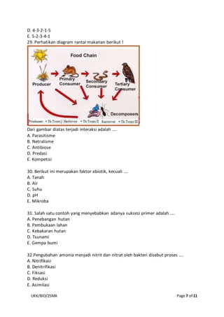 UKK/BIO/2SMA Page 7 of 11
D. 4-3-2-1-5
E. 5-2-3-4-1
29. Perhatikan diagram rantai makanan berikut !
Dari gambar diatas terjadi interaksi adalah ….
A. Parasitisme
B. Netralisme
C. Antibiose
D. Predasi
E. Kompetisi
30. Berikut ini merupakan faktor abiotik, kecuali ….
A. Tanah
B. Air
C. Suhu
D. pH
E. Mikroba
31. Salah satu contoh yang menyebabkan adanya suksesi primer adalah ….
A. Penebangan hutan
B. Pembukaan lahan
C. Kebakaran hutan
D. Tsunami
E. Gempa bumi
32.Pengubahan amonia menjadi nitrit dan nitrat oleh bakteri disebut proses ….
A. Nitrifikasi
B. Denitrifikasi
C. Fiksasi
D. Reduksi
E. Asimilasi
 
