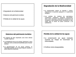 Degradación de la Biodiversidad


• Degradación de la Biodiversidad                           • La biodiversidad costera se degrada y afecta,
                                                             impactando la economía pesquera y el patrimonio
                                                             biológico.
• Deterioro del patrimonio turístico
                                                            • Los   vertidos de residuos de aserraderos,
                                                             curtiembres, mataderos, industrias alimenticias,
• Pérdida de la calidad de las aguas                         entre otros amenazan importantes ecosistemas de
                                                             manglares y esta situación puede representar un alto
                                                             riesgo para el sector de pesca comercial y de
                                                             subsistencia.




    Deterioro del patrimonio turístico                      Pérdida de la calidad de las aguas

• El aspecto de esta importante zona tiene efectos          • La  contaminación por aguas residuales
  visuales negativos.
                                                             aumenta los riesgos de transmisión de
• La inhabilitación del uso de playas, balnearios y otros    enfermedades.
  sitios trae como consecuencia pérdidas para el sector
  turismo.

• La desvalorización de las aguas costeras, se              • Proliferan olores desagradables.
  manifiesta también en el escaso deporte acuático y
  pesca deportiva sostenible.
 