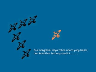 Dia mengalami daya tahan udara yang besar, 
dan kesulitan terbang sendiri……….... 
 