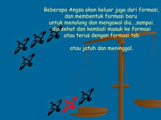 Beberapa Angsa akan keluar juga dari formasi,
dan membentuk formasi baru
untuk menolong dan mengawal dia….sampai.
dia sehat dan kembali masuk ke formasi
atau terus dengan formasi tsb
atau jatuh dan meninggal.
 