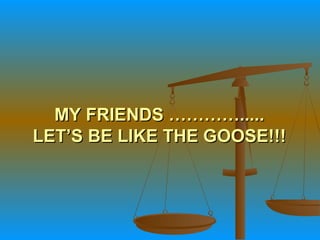 MY FRIENDS ………….....MY FRIENDS ………….....
LET’S BE LIKE THE GLET’S BE LIKE THE GOOOOSE!!!SE!!!
 