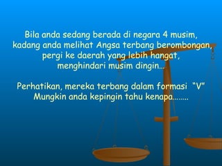 Bila anda sedang berada di negara 4 musim,
kadang anda melihat Angsa terbang berombongan,
pergi ke daerah yang lebih hangat,
menghindari musim dingin…
Perhatikan, mereka terbang dalam formasi “V”
Mungkin anda kepingin tahu kenapa……..
 