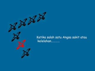Ketika salah satu Angsa sakit atau
kelelahan…………
 