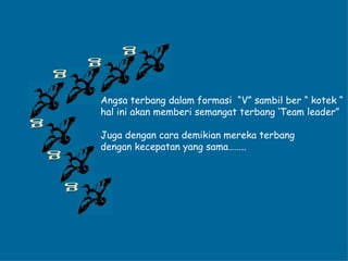 g g g g g g Angsa terbang dalam formasi  “V” sambil ber “ kotek “ hal ini akan memberi semangat terbang ‘Team leader” Juga dengan cara demikian mereka terbang  dengan kecepatan yang sama…….. . 