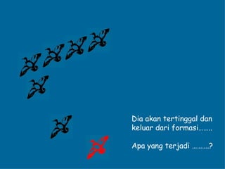 Dia akan tertinggal dan keluar dari formasi…….. Apa yang terjadi ……….? 