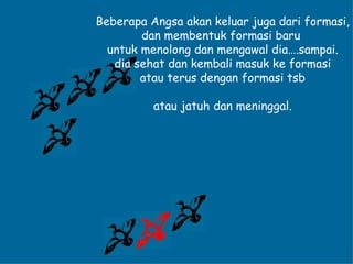 Beberapa Angsa akan keluar juga dari formasi, dan membentuk formasi baru  untuk menolong dan mengawal dia….sampai. dia sehat dan kembali masuk ke formasi  atau terus dengan formasi tsb atau jatuh dan meninggal. 