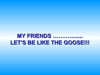 MY FRIENDS …………..... LET’S BE LIKE THE G OO SE!!! 