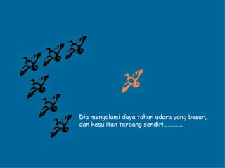 Dia mengalami daya tahan udara yang besar,  dan kesulitan terbang sendiri……….... 