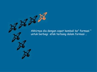 Akhirnya dia dengan cepat kembali ke” formasi “ untuk berbagi  efek terbang dalam formasi   .. 