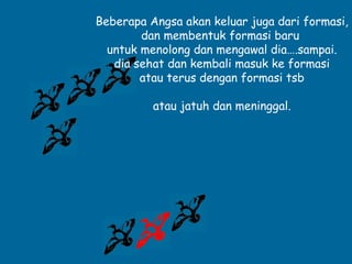 Beberapa Angsa akan keluar juga dari formasi,
        dan membentuk formasi baru
  untuk menolong dan mengawal dia….sampai.
   dia sehat dan kembali masuk ke formasi
        atau terus dengan formasi tsb

          atau jatuh dan meninggal.
 