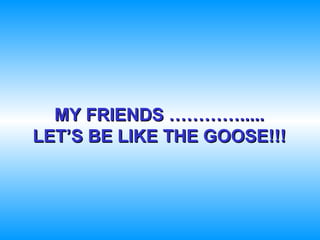 MY FRIENDS ………….....
LET’S BE LIKE THE GOOSE!!!
 