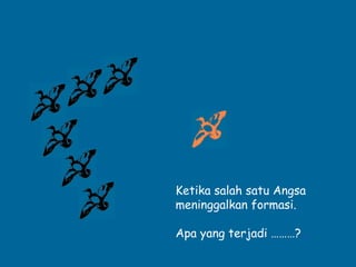 Ketika salah satu Angsa
meninggalkan formasi.

Apa yang terjadi ………?..
 