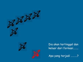 Dia akan tertinggal dan keluar dari formasi…….. Apa yang terjadi ……….? 