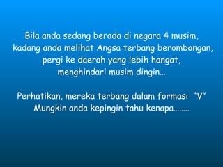 Bila anda sedang berada di negara 4 musim, kadang anda melihat Angsa terbang berombongan, pergi ke daerah yang lebih hangat, menghindari musim dingin… Perhatikan, mereka terbang dalam formasi  “V” Mungkin anda kepingin tahu kenapa…….. 