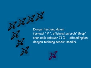Dengan terbang dalam  formasi “ V “, efisiensi seluruh” Grup” akan naik sebesar 71 %,  dibandingkan dengan terbang sendiri sendiri. 
