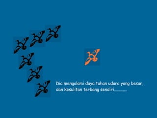 Dia mengalami daya tahan udara yang besar,  dan kesulitan terbang sendiri……….... 