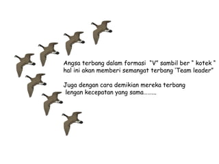 Angsa terbang dalam formasi “V” sambil ber “ kotek “
hal ini akan memberi semangat terbang ‘Team leader”
Juga dengan cara demikian mereka terbang
dengan kecepatan yang sama……...

 