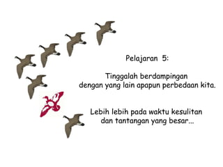 Pelajaran 5:
Tinggalah berdampingan
dengan yang lain apapun perbedaan kita.
Lebih lebih pada waktu kesulitan
dan tantangan yang besar...

 