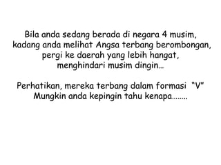 Bila anda sedang berada di negara 4 musim,
kadang anda melihat Angsa terbang berombongan,
pergi ke daerah yang lebih hangat,
menghindari musim dingin…
Perhatikan, mereka terbang dalam formasi “V”
Mungkin anda kepingin tahu kenapa……..

 
