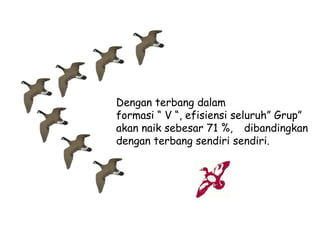 Dengan terbang dalam
formasi “ V “, efisiensi seluruh” Grup”
akan naik sebesar 71 %, dibandingkan
dengan terbang sendiri sendiri.

 