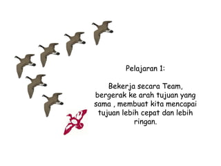 Pelajaran 1:
Bekerja secara Team,
bergerak ke arah tujuan yang
sama , membuat kita mencapai
tujuan lebih cepat dan lebih
ringan.

 