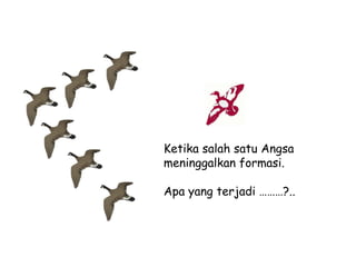 Ketika salah satu Angsa
meninggalkan formasi.
Apa yang terjadi ………?..

 