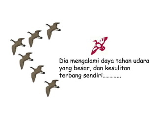 Dia mengalami daya tahan udara
yang besar, dan kesulitan
terbang sendiri………....

 