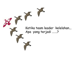 Ketika team leader kelelahan...
Apa yang terjadi …….?

 