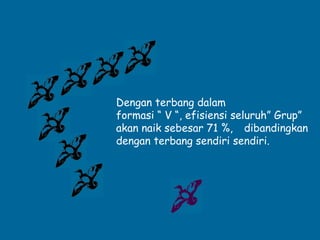 Dengan terbang dalam
formasi “ V “, efisiensi seluruh” Grup”
akan naik sebesar 71 %, dibandingkan
dengan terbang sendiri sendiri.
 