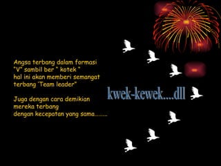 Angsa terbang dalam formasi  “V” sambil ber “ kotek “ hal ini akan memberi semangat terbang ‘Team leader” Juga dengan cara demikian mereka terbang  dengan kecepatan yang sama……... kwek-kewek....dll 
