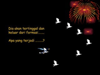 Dia akan tertinggal dan keluar dari formasi…….. Apa yang terjadi ……….? 