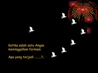 Ketika salah satu Angsa  meninggalkan formasi. Apa yang terjadi ………?.. 