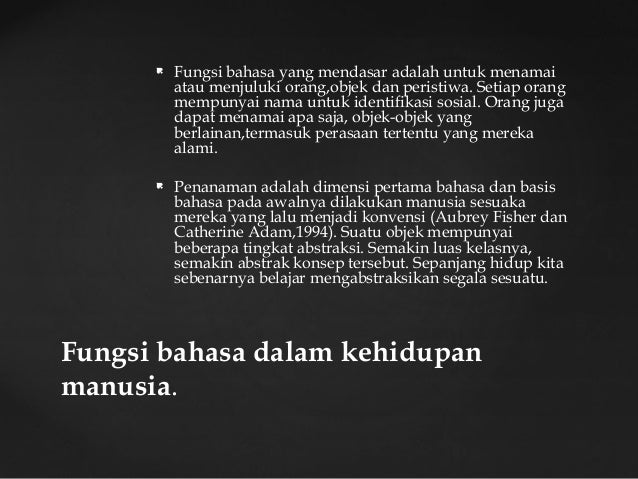 Apa saja fungsi mendasar dari komunikasi