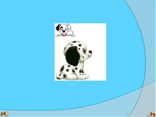 Bahasa indonesia (Paragraf)