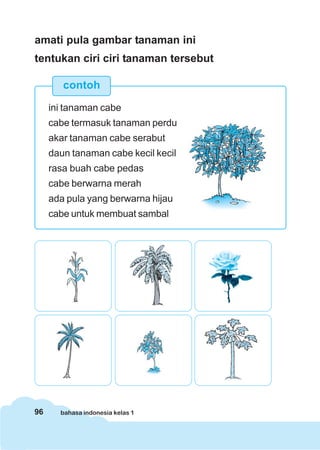 96 bahasa indonesia kelas 1
amati pula gambar tanaman ini
tentukan ciri ciri tanaman tersebut
contoh
ini tanaman cabe
cabe termasuk tanaman perdu
akar tanaman cabe serabut
daun tanaman cabe kecil kecil
rasa buah cabe pedas
cabe berwarna merah
ada pula yang berwarna hijau
cabe untuk membuat sambal
 