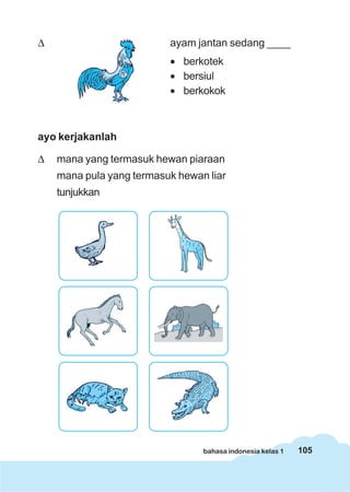 105bahasa indonesia kelas 1
Δ ayam jantan sedang ____
• berkotek
• bersiul
• berkokok
ayo kerjakanlah
Δ mana yang termasuk hewan piaraan
mana pula yang termasuk hewan liar
tunjukkan
 