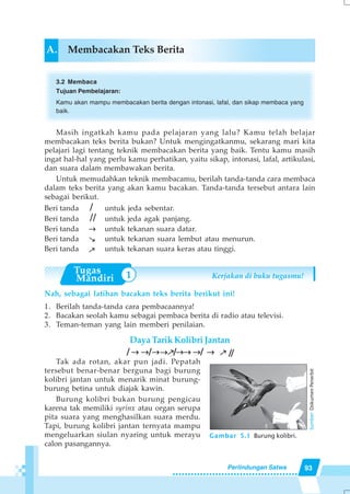 93Perlindungan Satwa
A. Membacakan Teks Berita
3.2 Membaca
Tujuan Pembelajaran:
Kamu akan mampu membacakan berita dengan intonasi, lafal, dan sikap membaca yang
baik.
Masih ingatkah kamu pada pelajaran yang lalu? Kamu telah belajar
membacakan teks berita bukan? Untuk mengingatkanmu, sekarang mari kita
pelajari lagi tentang teknik membacakan berita yang baik. Tentu kamu masih
ingat hal-hal yang perlu kamu perhatikan, yaitu sikap, intonasi, lafal, artikulasi,
dan suara dalam membawakan berita.
Untuk memudahkan teknik membacamu, berilah tanda-tanda cara membaca
dalam teks berita yang akan kamu bacakan. Tanda-tanda tersebut antara lain
sebagai berikut.
Beri tanda / untuk jeda sebentar.
Beri tanda // untuk jeda agak panjang.
Beri tanda untuk tekanan suara datar.
Beri tanda untuk tekanan suara lembut atau menurun.
Beri tanda untuk tekanan suara keras atau tinggi.
Nah, sebagai latihan bacakan teks berita berikut ini!
1. Berilah tanda-tanda cara pembacaannya!
2. Bacakan seolah kamu sebagai pembaca berita di radio atau televisi.
3. Teman-teman yang lain memberi penilaian.
Daya Tarik Kolibri Jantan
Tak ada rotan, akar pun jadi. Pepatah
tersebut benar-benar berguna bagi burung
kolibri jantan untuk menarik minat burung-
burung betina untuk diajak kawin.
Burung kolibri bukan burung pengicau
karena tak memiliki syrinx atau organ serupa
pita suara yang menghasilkan suara merdu.
Tapi, burung kolibri jantan ternyata mampu
mengeluarkan siulan nyaring untuk merayu
calon pasangannya.
→→→→→
→→→→→
→→→→→
//////////→→→→→///// →→→→→ →→→→→→→→→→ →→→→→ →→→→→→→→→→ →→→→→ →→→→→ →→→→→///// ///// /////
Gambar 5.1 Burung kolibri.
Sumber:DokumenPenerbit
1 Kerjakan di buku tugasmu!
 
