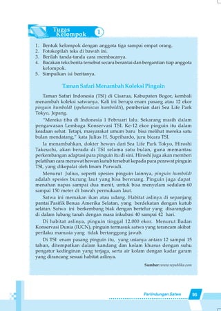 95Perlindungan Satwa
1. Bentuk kelompok dengan anggota tiga sampai empat orang.
2. Fotokopilah teks di bawah ini.
3. Berilah tanda-tanda cara membacanya.
4. Bacakan teks berita tersebut secara berantai dan bergantian tiap anggota
kelompok.
5. Simpulkan isi beritanya.
Taman Safari Menambah Koleksi Pinguin
Taman Safari Indonesia (TSI) di Cisarua, Kabupaten Bogor, kembali
menambah koleksi satwanya. Kali ini berupa enam pasang atau 12 ekor
pinguin humboldt (speheniscus humboldti), pemberian dari Sea Life Park
Tokyo, Jepang.
“Mereka tiba di Indonesia 1 Februari lalu. Sekarang masih dalam
pengawasan Lembaga Konservasi TSI. Ke-12 ekor pinguin itu dalam
keadaan sehat. Tetapi, masyarakat umum baru bisa melihat mereka satu
bulan mendatang,” kata Julius H. Suprihardo, juru bicara TSI.
Ia menambahkan, dokter hewan dari Sea Life Park Tokyo, Hiroshi
Takeuchi, akan berada di TSI selama satu bulan, guna memantau
perkembangan adaptasi para pinguin itu di sini. Hiroshi juga akan memberi
pelatihan cara merawat hewan kutub tersebut kepada para perawat pinguin
TSI, yang dikepalai oleh Imam Purwadi.
Menurut Julius, seperti spesies pinguin lainnya, pinguin humboldt
adalah spesies burung laut yang bisa berenang. Pinguin juga dapat
menahan napas sampai dua menit, untuk bisa menyelam sedalam 60
sampai 150 meter di bawah permukaan laut.
Satwa ini memakan ikan atau udang. Habitat aslinya di sepanjang
pantai Pasifik Benua Amerika Selatan, yang berdekatan dengan kutub
selatan. Satwa ini berkembang biak dengan bertelur yang disarangkan
di dalam lubang tanah dengan masa inkubasi 40 sampai 42 hari.
Di habitat aslinya, pinguin tinggal 12.000 ekor. Menurut Badan
Konservasi Dunia (IUCN), pinguin termasuk satwa yang terancam akibat
perilaku manusia yang tidak bertanggung jawab.
Di TSI enam pasang pinguin itu, yang usianya antara 12 sampai 15
tahun, ditempatkan dalam kandang dan kolam khusus dengan suhu
pengatur kedinginan yang terjaga, serta air kolam dengan kadar garam
yang dirancang sesuai habitat aslinya.
Sumber: www.republika.com
1
 