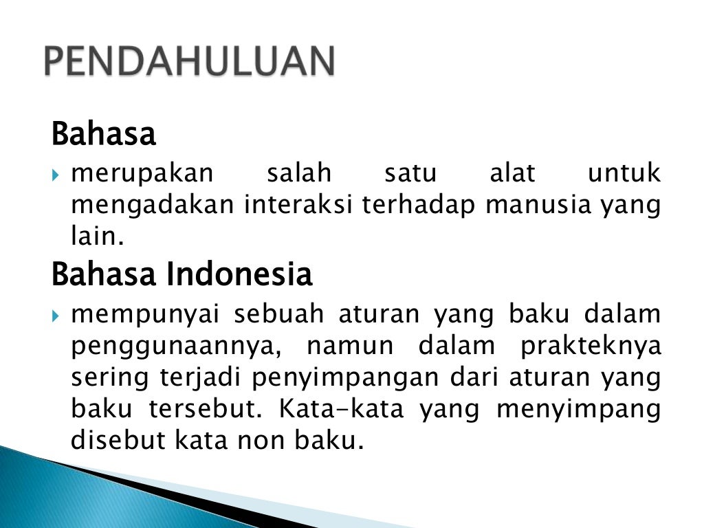 Bahasa indonesia baku dan non baku, fungsi bahasa