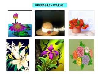 PENEGASAN WARNA
 