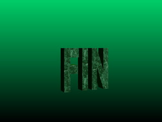 FIN 