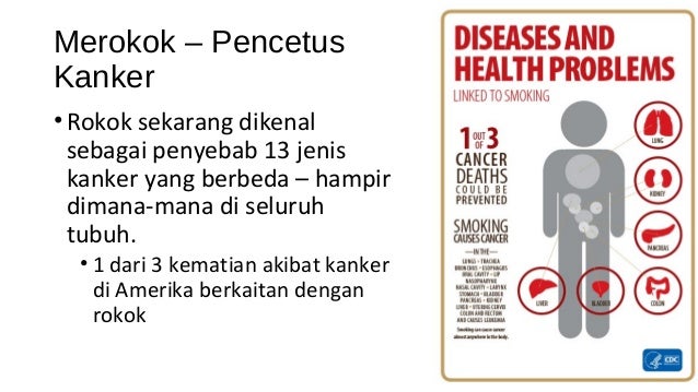 Bahaya Merokok Terhadap Kesehatan: 50 tahun Perkembangan 