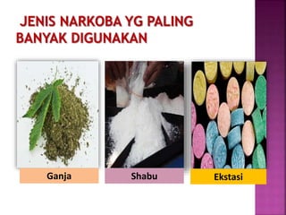 Ganja Shabu Ekstasi
 